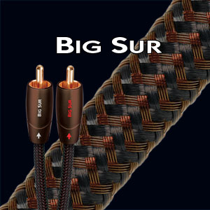 AudioQuest 1m Big Sur RCA cavo audio 2 x RCA Nero